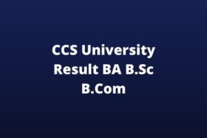 CCS-University-Result-BA-BSc-BCom