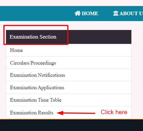 Examination Result section