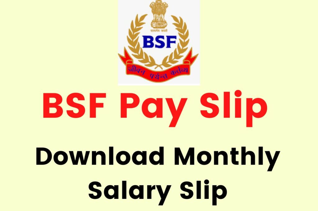 BSF Pay Slip 2024; Monthly Online Download BSF October Salary Slip