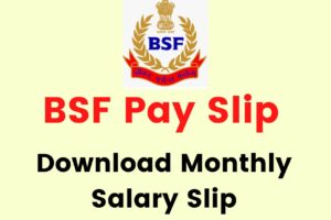 BSF Pay Slip 2024; Monthly Online Download BSF October Salary Slip