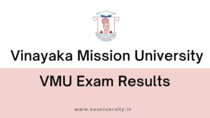 VMU Results 2024; Vinayaka Mission University Exam Results