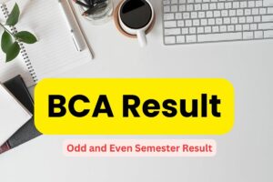 BCA Result 2024 Released: Check 1st 2nd 3rd Year Semester Wise Result