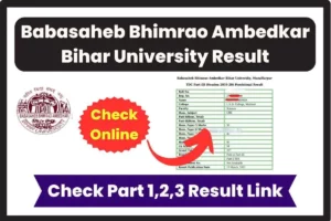 Babasaheb Bhimrao Ambedkar Bihar University Result