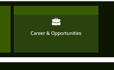 CSIR Career & Opportunities Option