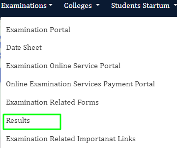 Punjabi University Results Option