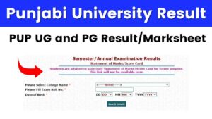 Punjabi University Result 2024 Declared at punjabiuniversity.ac.in: Download PUP UG and PG Result/Marksheet