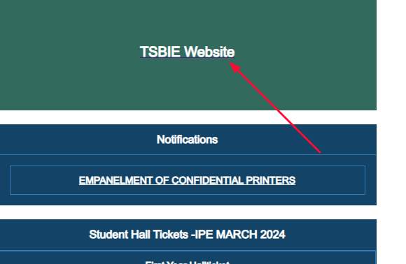 TSBIE Website Option
