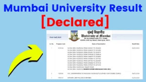 Mumbai University Result 2024 [Declared]: MU BA/B.Sc/B.Com Exams Results